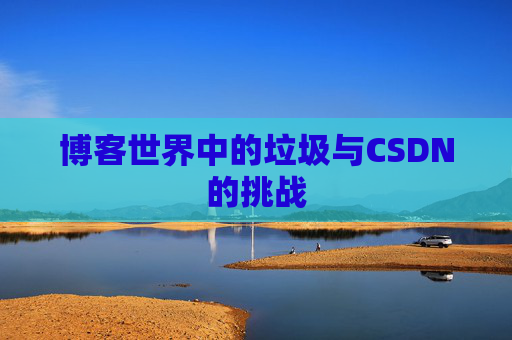 博客世界中的垃圾与CSDN的挑战